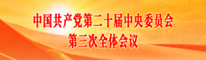 中国共产党第二十届中央委员会第三次全体会议