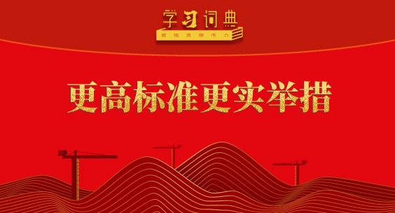 学习词典·五次全会丨更高标准更实举措